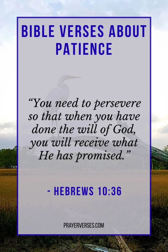 The Power of Patience in the Bible_ Faith That Waits