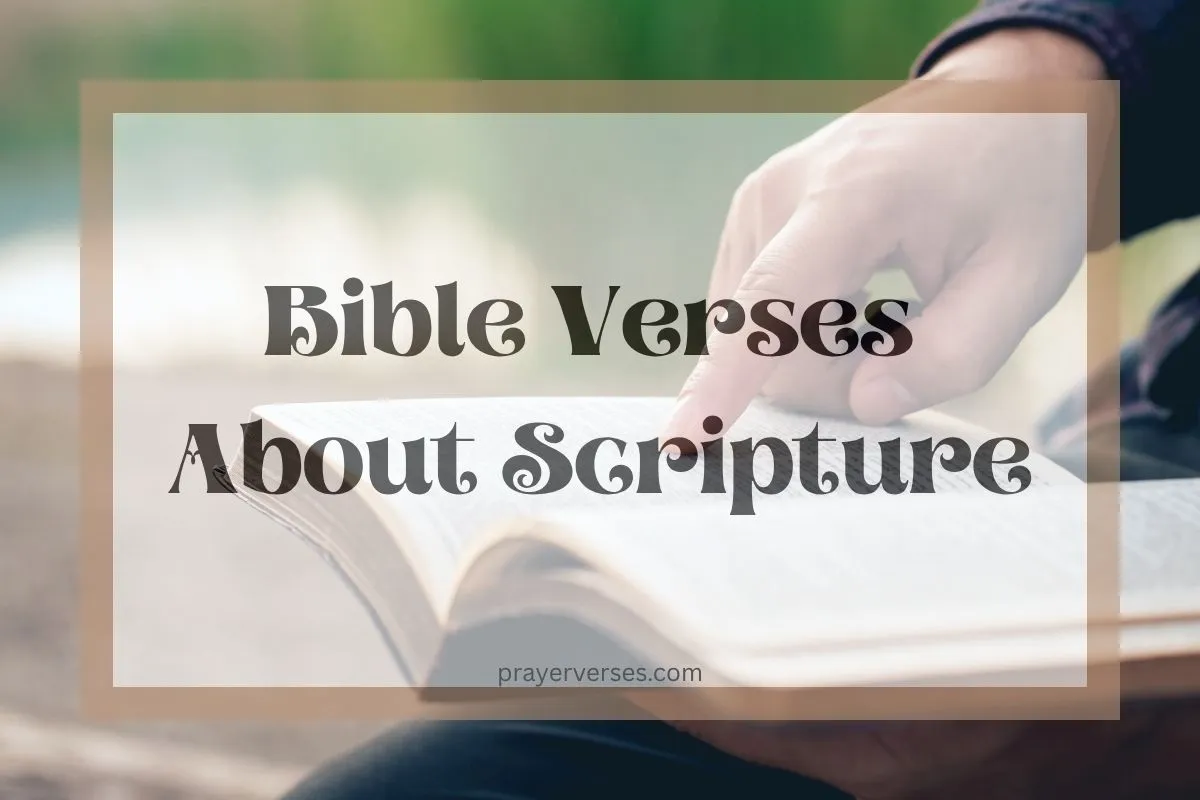 popular-bible-verses-about-scripture