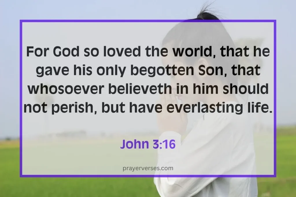 short-bible-verses-about-love