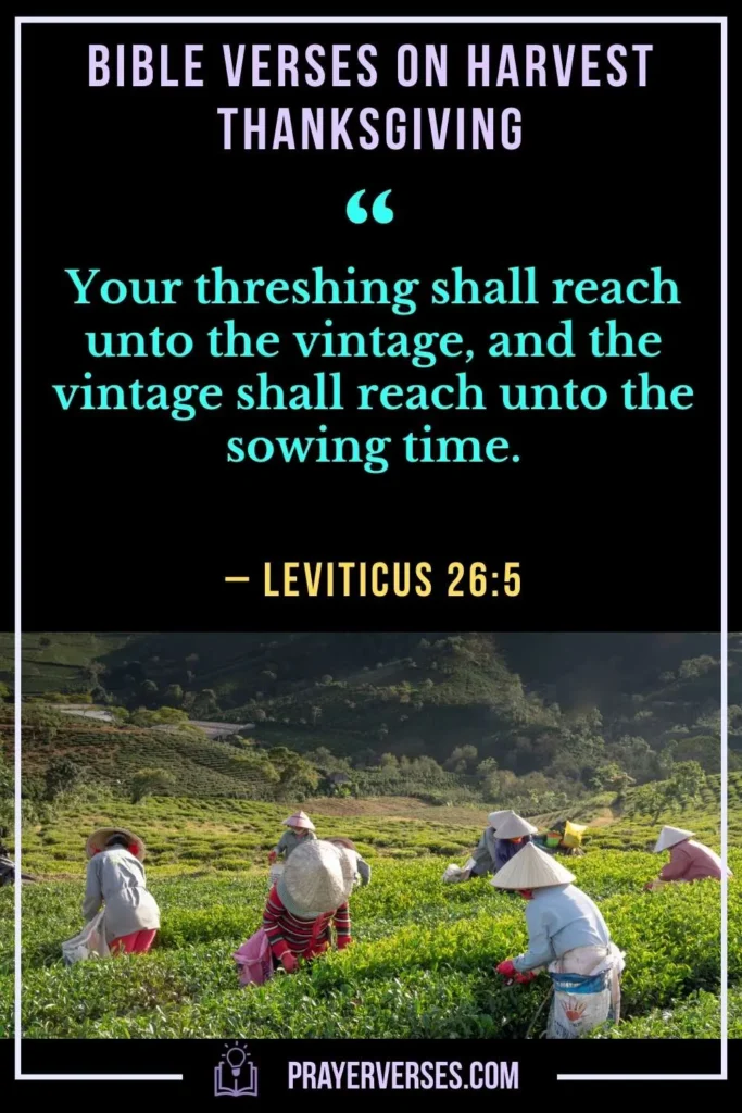 Bible Verses on Harvest of Abundance