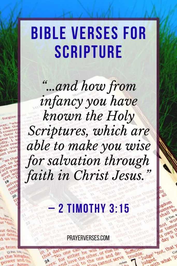 Biblical Meanings of Scripture in the Old and New Testament