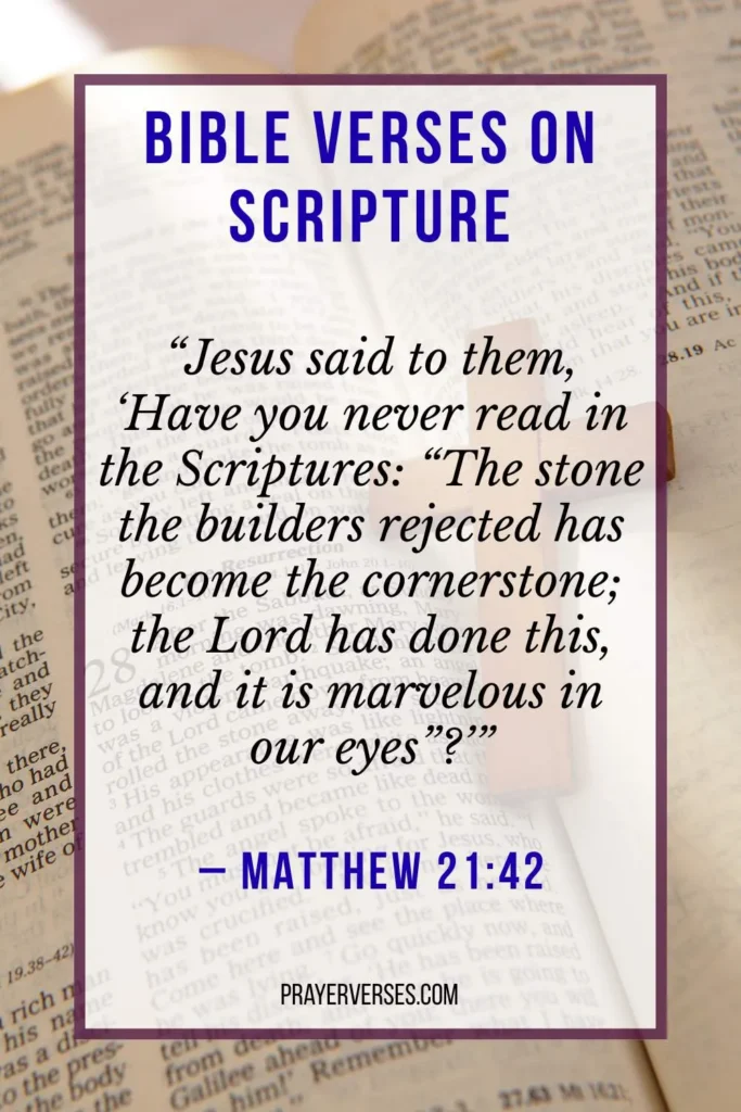 Psalms About Scripture That Praise God’s Law and Commands