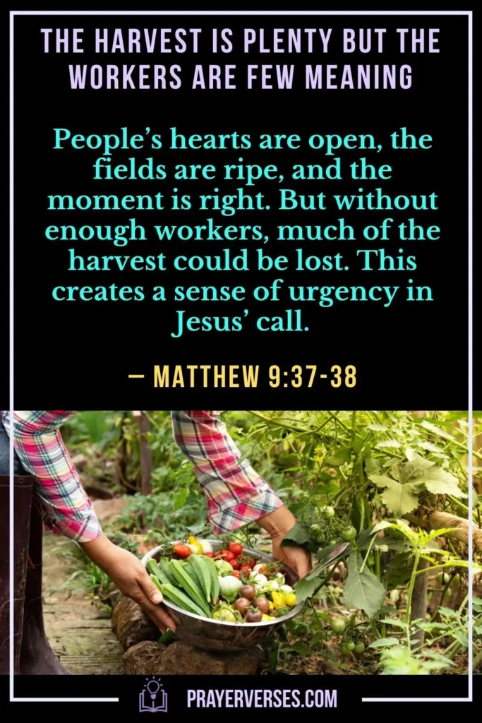 The Harvest Is Plenty but the Workers Are Few Meaning