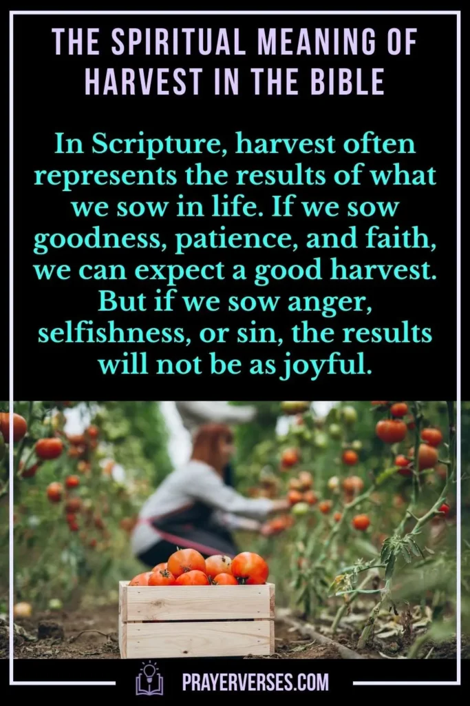 The Spiritual Meaning of Harvest in the Bible