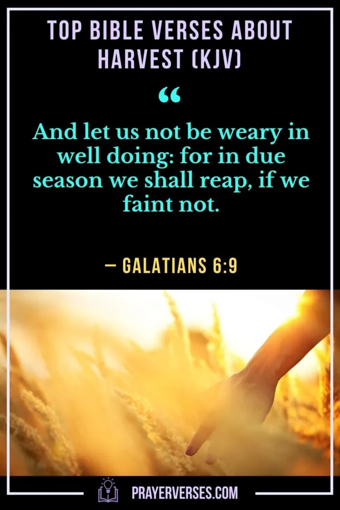 Top Bible Verses About Harvest (KJV)