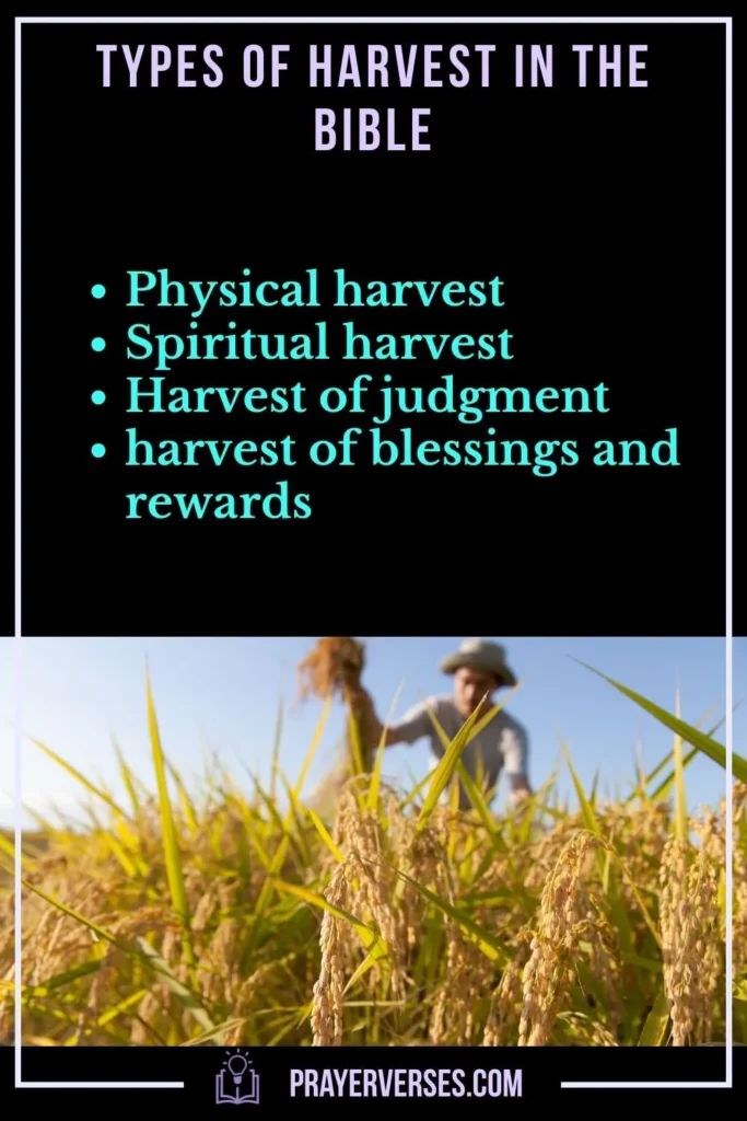 Types of Harvest in the Bible