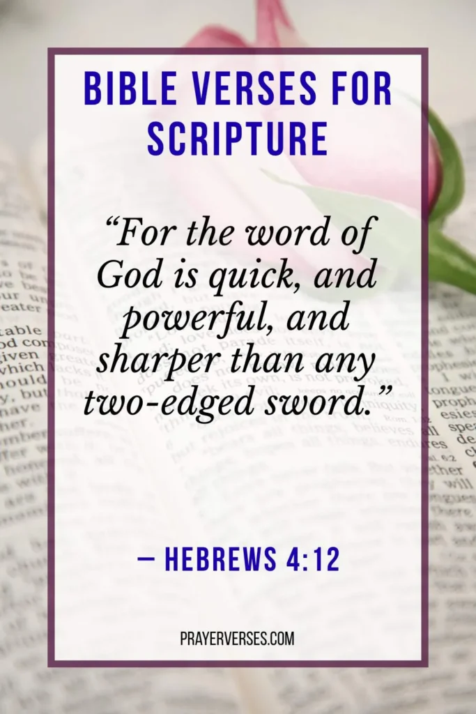 What Does the Bible Say About Scripture