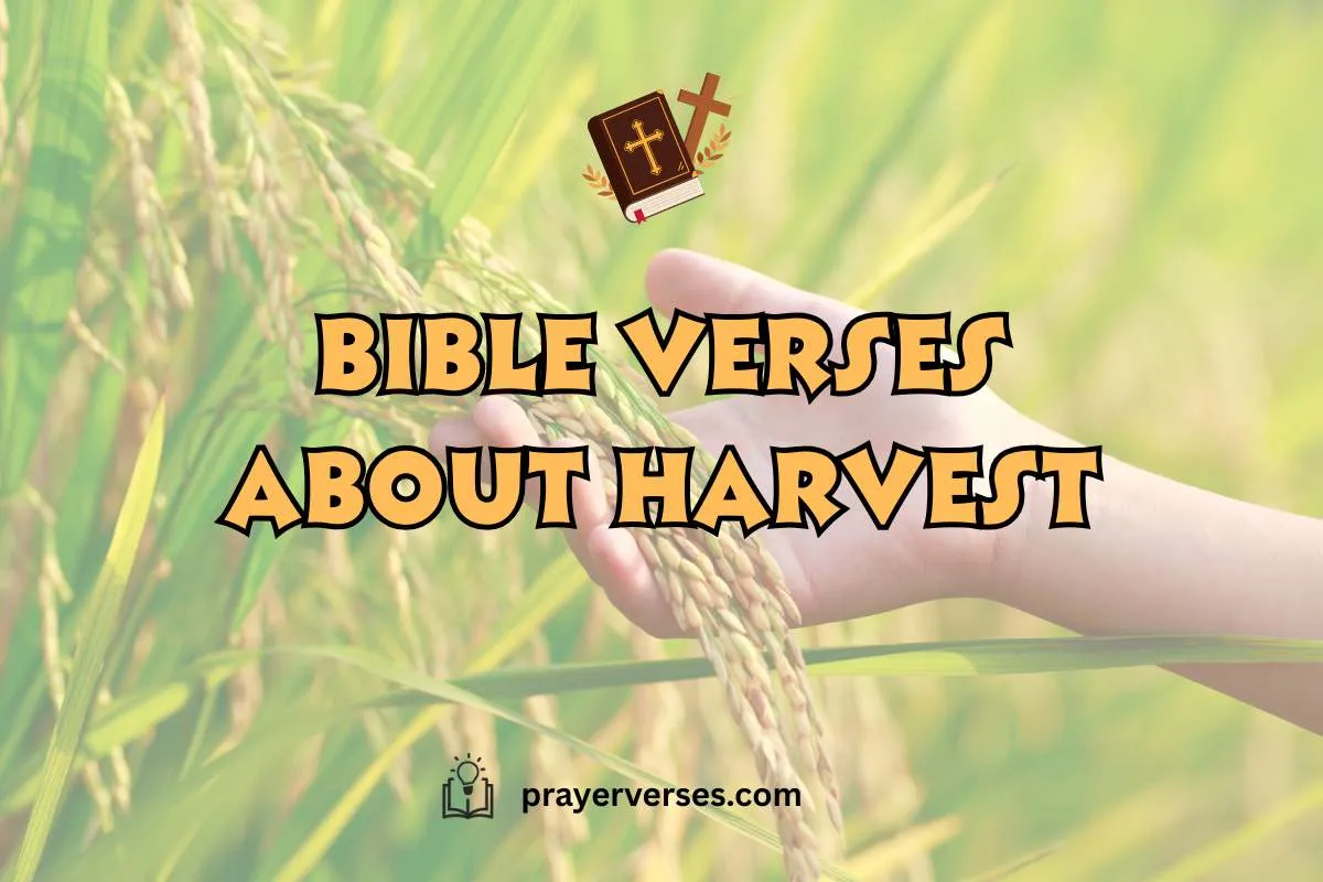 the-most-powerful-bible-verses-about-harvest