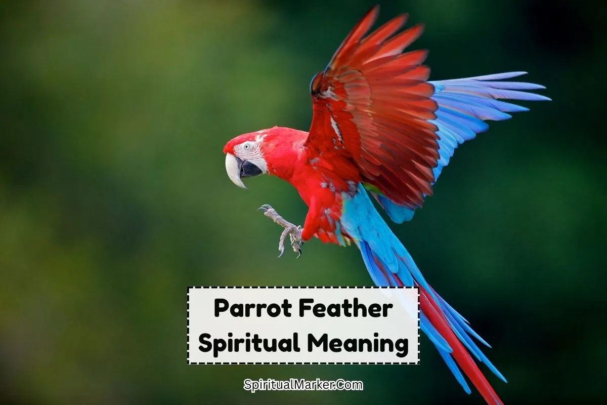 Parrot-feather-spiritual-meaning-and-symbolism