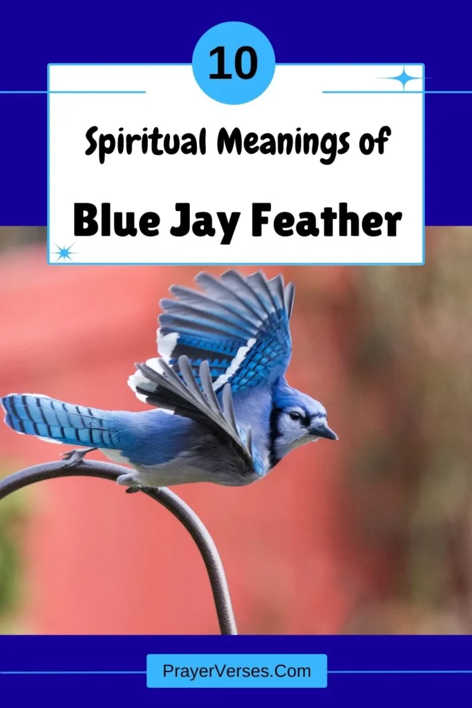 What-does-a-Blue-Jay-feather-symbolize