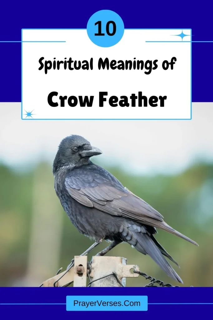 What-does-a-Crow-feather-symbolize