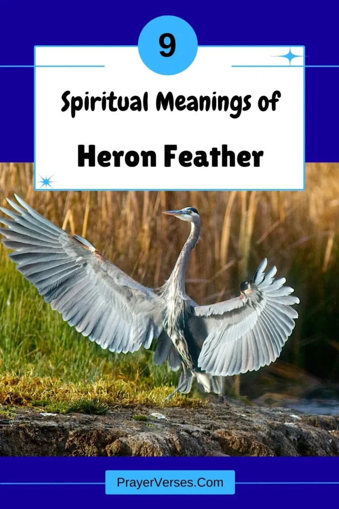 What-does-a-Heron-feather-symbolize