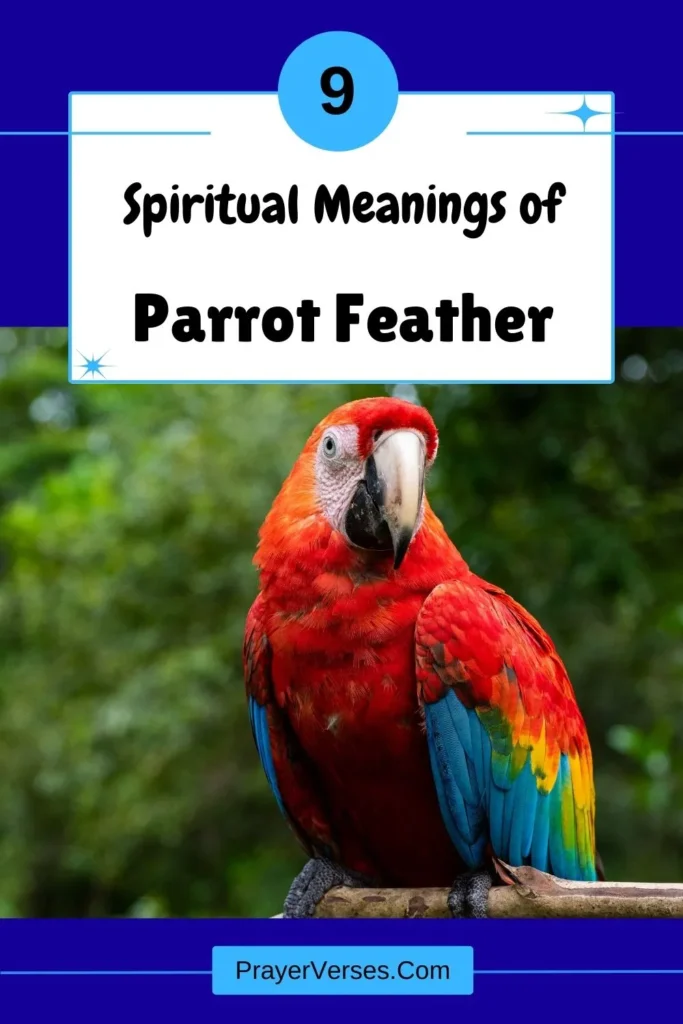 What-does-a-Parrot-feather-symbolize