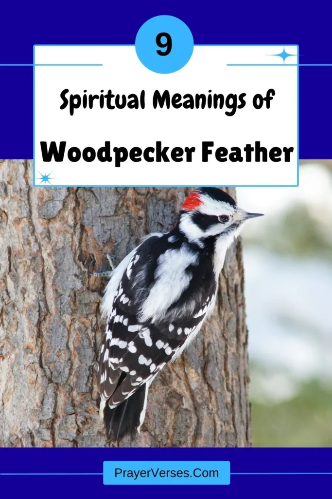 What-does-a-Woodpecker-feather-symbolize