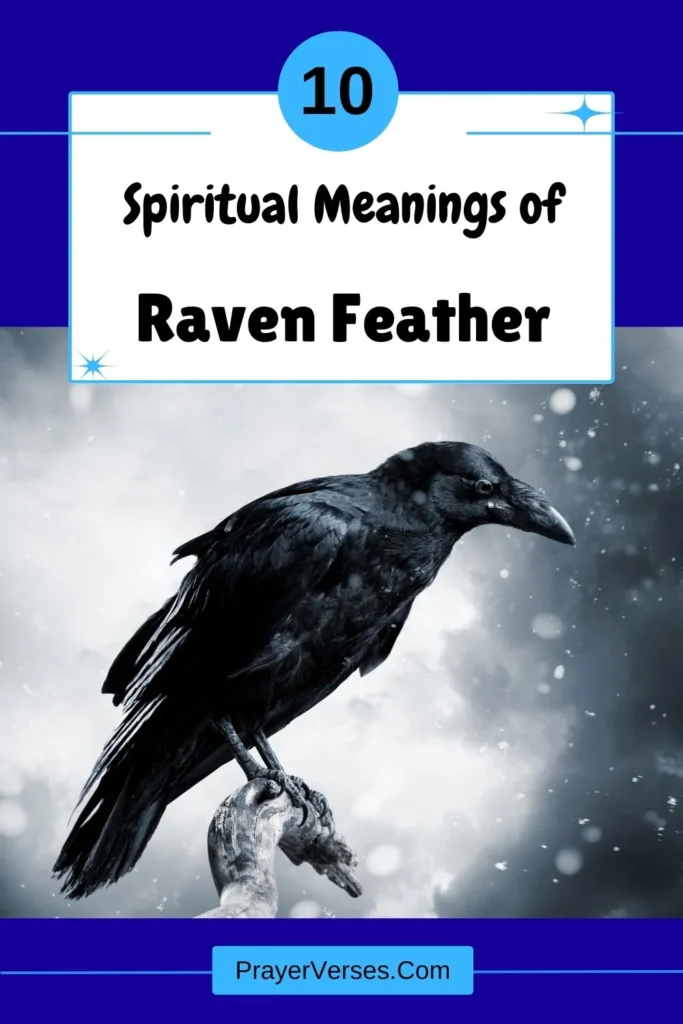 What-does-a-raven-feather-symbolize