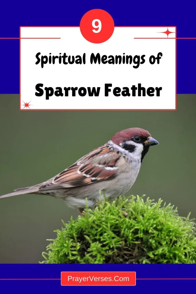 What-does-a-sparrow-feather-symbolize