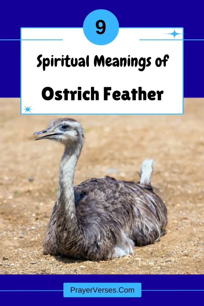 What-does-an-ostrich-feather-symbolize