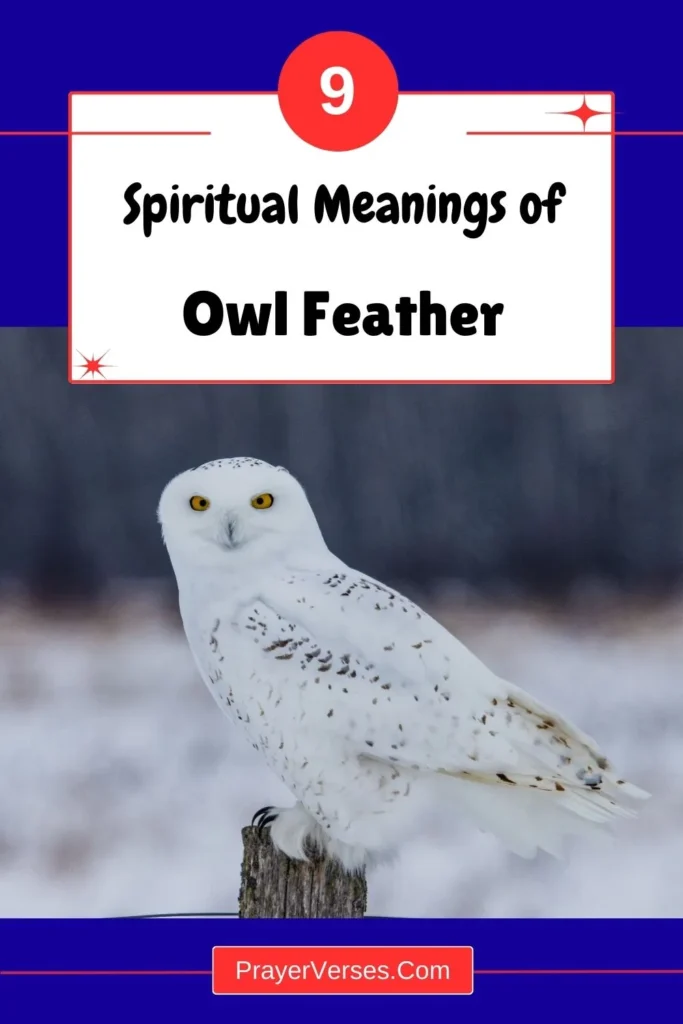 What-does-an-owl-feather-symbolize