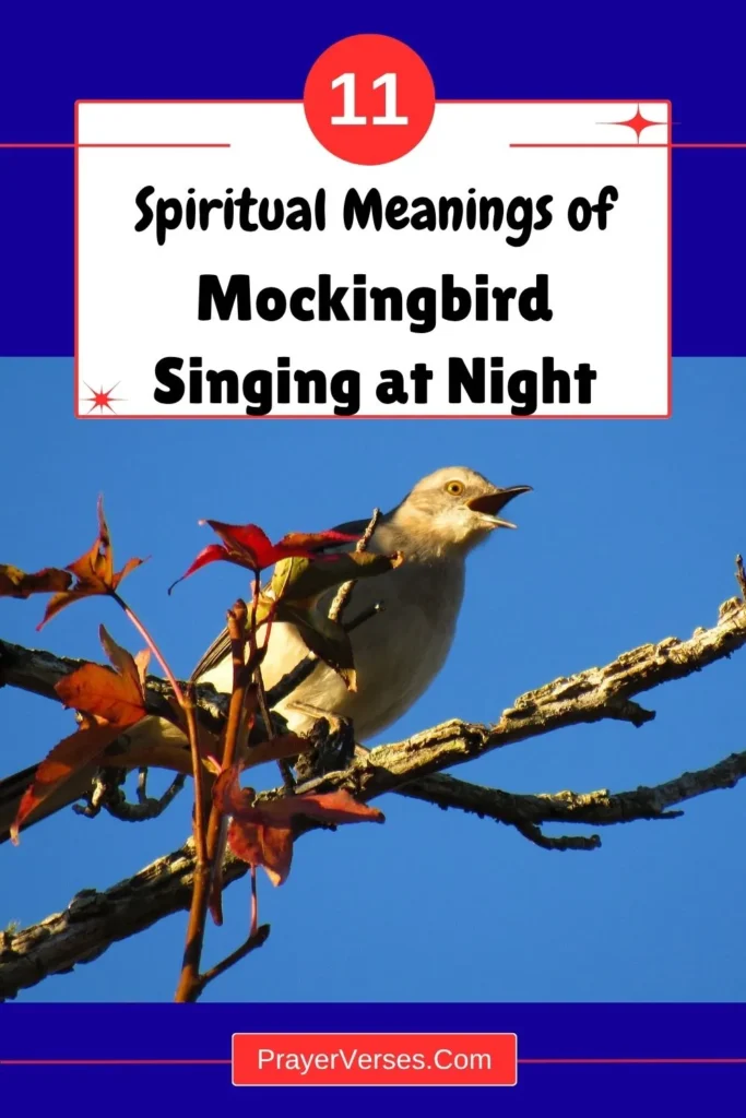 spiritual-meaning-of-mockingbird-singing-at-night