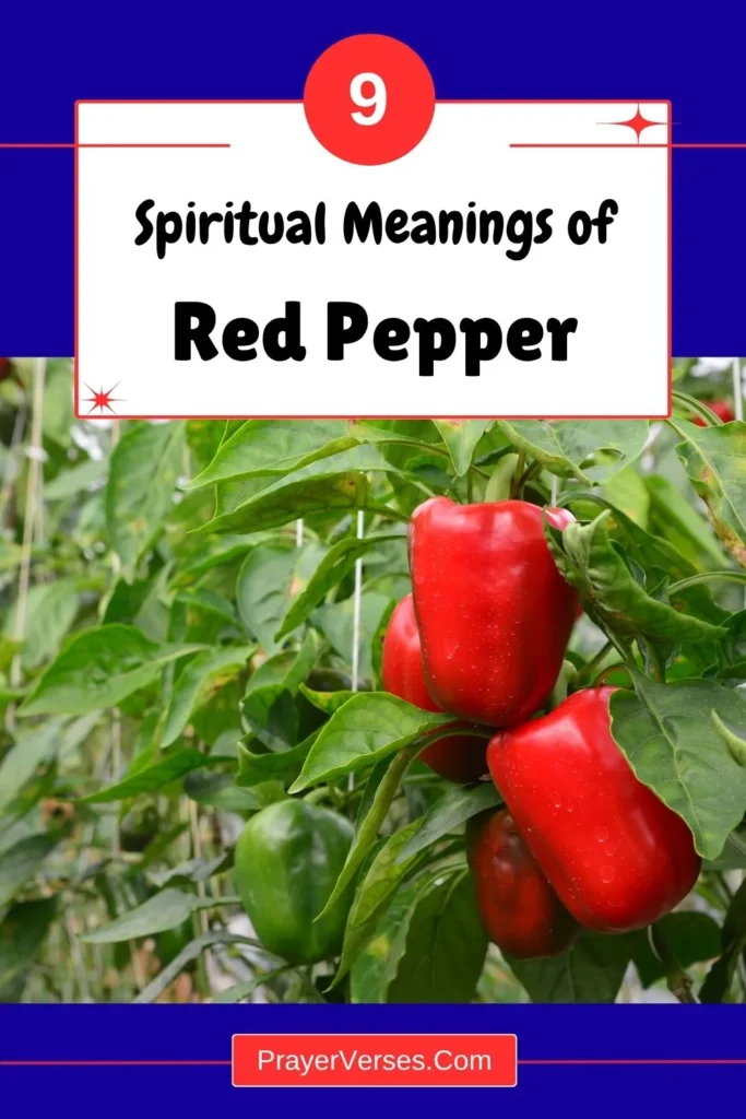 spiritual-meaning-of-red-pepper-and-symbolism