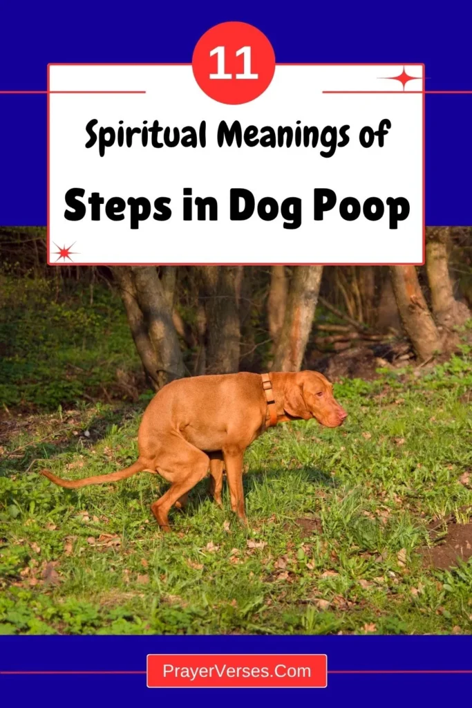 stepping-in-dog-poop-meaning-superstition