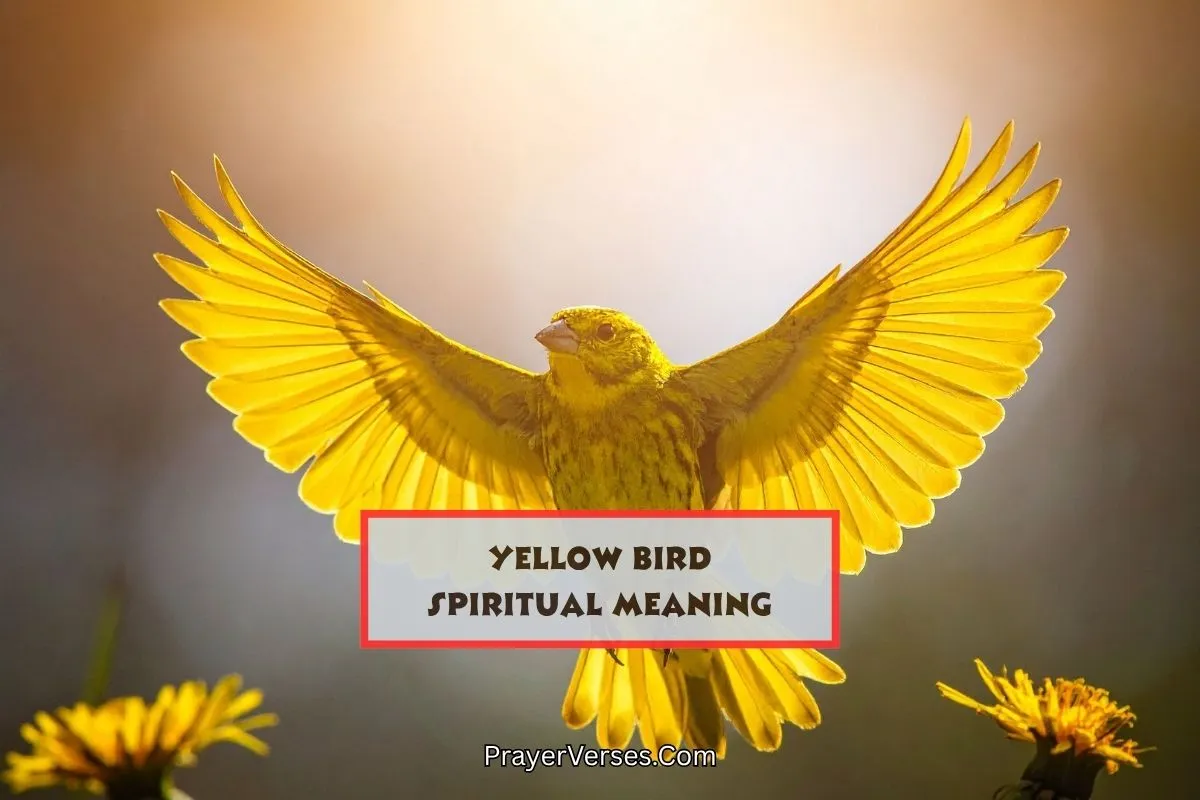 yellow-bird-spiritual-meaning-symbolism